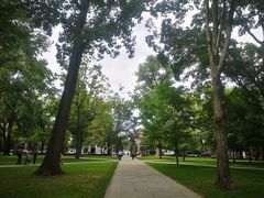 -普林斯顿大学
