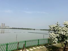 -金银湖国家城市湿地公园
