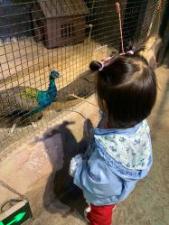 -酷嗒动物文化乐园(cutezoo西溪乐天城店)