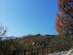 -白水寺森林公园