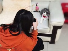 -lincat·猫舍(广州店)