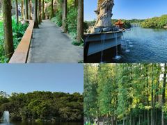 -广州莲花山旅游区