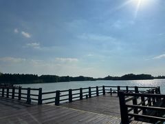 -苏州太湖国家湿地公园