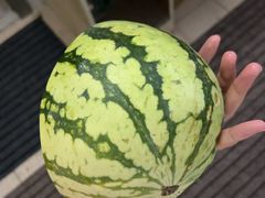 -万松园美食街