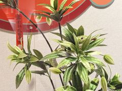 -南京市民俗博物馆(甘熙故居)
