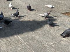 -宝通禅寺