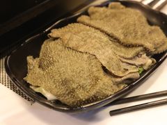 黑毛肚-鲜入围煮花胶鸡海鲜火锅