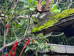 -曼丢傣家古寨