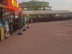 -大连海昌发现王国主题公园