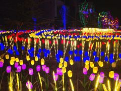 -雁滩公园