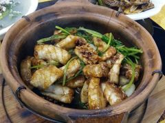砂锅鱼腩煲-焯明脆肉鲩世家(金沙洲店)