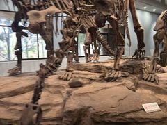 -自贡恐龙博物馆