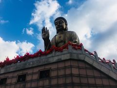 -龙口南山旅游景区