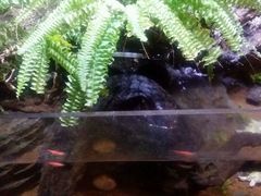 -Together·泰式按摩精油SPA(天山店)