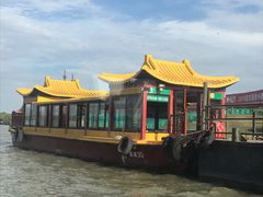 -溱湖国家湿地公园