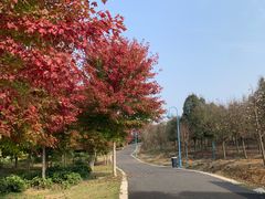 -南京枫彩漫城