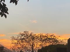 -成都你六姐·牛肉冒菜(上海环宇荟店)