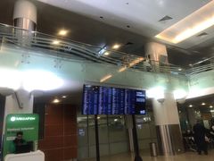 -谢列梅捷沃国际机场