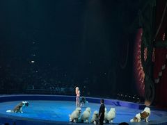 -珠海横琴长隆《卡卡虎奇遇记》