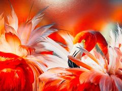 -罗红摄影艺术馆