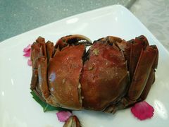 -新光酒家·河豚·海鲜·蟹料理(浦东店)