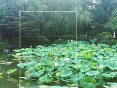 景观位-杭州西子湖四季酒店·金沙厅
