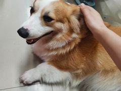 -汪说·狗咖(旺城大厦店)