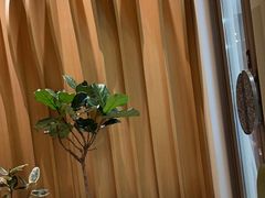 -Bco豆库(星耀天地店)