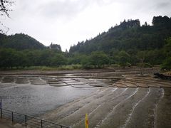 -杨家寨