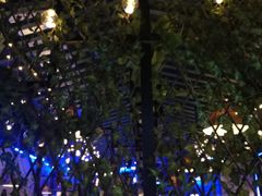 门面-一淼牛蛙爱上鱼(黄兴广场步行街店)