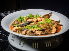 绩溪飘香刨山蹄-云上·宴