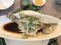 -十八棵（老龙井）御茶园(老龙井店)