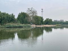 -大兴滨河森林公园