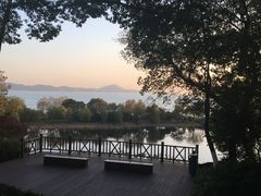 -上海市保健医疗中心