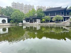-红梅公园