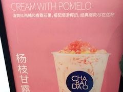 -茶百道(大卫城店)