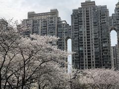 -西北湖绿化广场