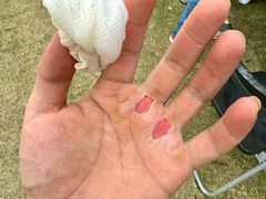 -光明小镇欢乐田园