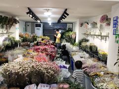 -溪岸路花鸟市场