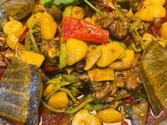 土豆烧甲鱼-闲亭(九眼桥店)