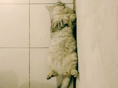 -娜娜家•Nana’Garden (福州道店)