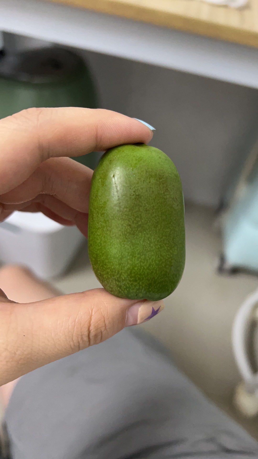 吃一颗可爱的猕hotel吧