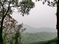 -雨花胜境