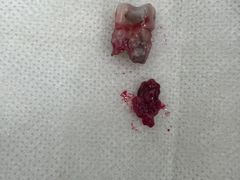 -泰康拜博口腔(凯迪大厦店)