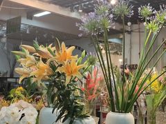 -双季花艺园艺市场(浦东店)