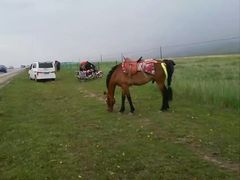 -青海湖国家重点风景名胜区
