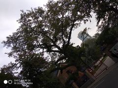 -广州中山纪念堂