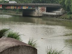 -运河游船(武林门码头)