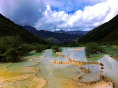 -黄龙山原始森林景区
