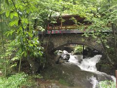 -藏龙百瀑风景区